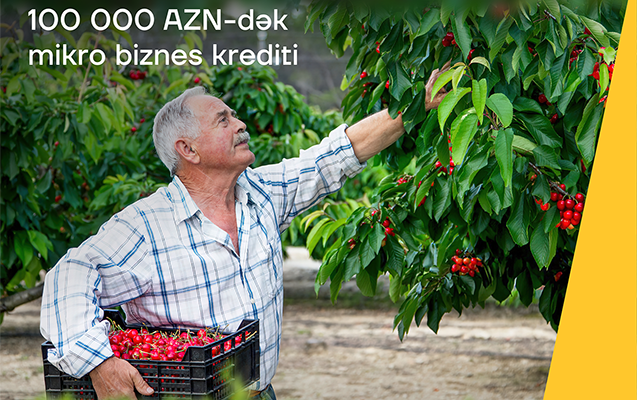 yelo-bank-dan-100-000-manatadek-mikro-biznes-krediti
