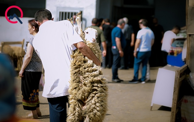 bu-gunun-qurbanlari