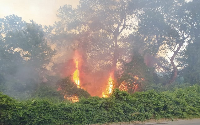 fhn-hazirda-yangin-bir-nece-istiqametde-nezarete-goturulub