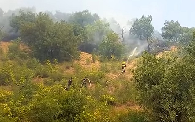 zengilandaki-yangin-sonduruldu