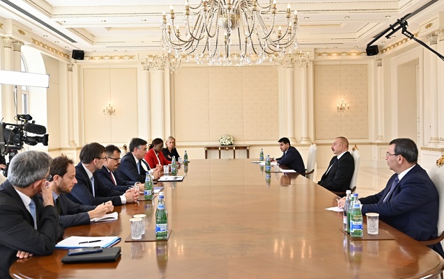 prezident-devid-makalisteri-qebul-etdi