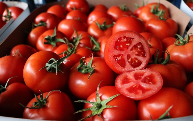 Pomidorun qiyməti niyə bahalaşıb?