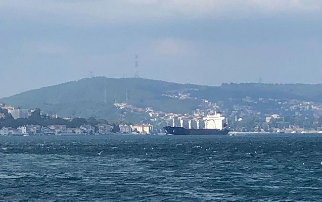 4 yük gəmisi Ukraynadan İstanbula yola düşdü