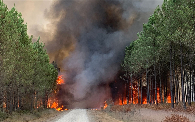 Fransada yanğınlar 57 min hektar ərazinin məhvinə səbəb oldu