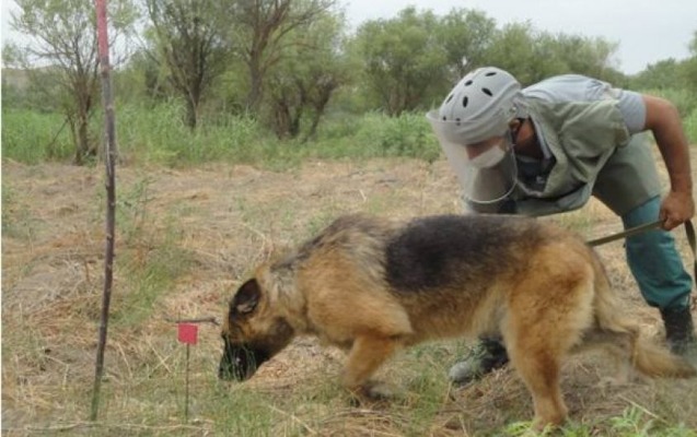 qubadlida-mina-partladi