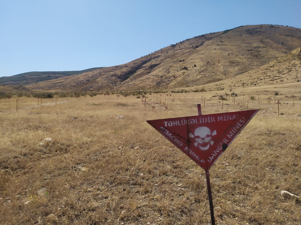 Hikmət Hacıyev minaya düşərək ölən Dina ilə bağlı paylaşım etdi - Fotolar