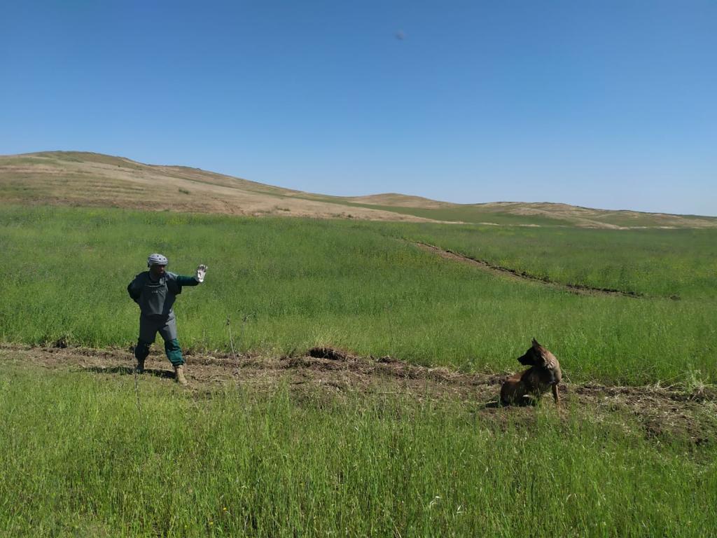 Hikmət Hacıyev minaya düşərək ölən Dina ilə bağlı paylaşım etdi - Fotolar