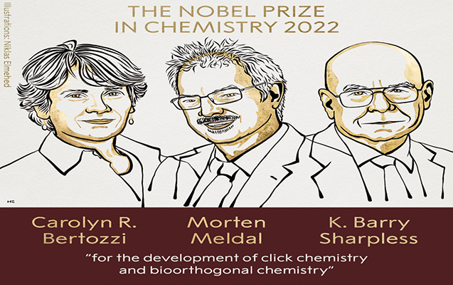 Kimya üzrə Nobel mükafatının qalibləri məlum oldu