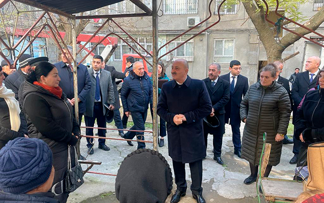 nesimide-yanvar-ayinda-seyyar-qebullar-kecirilib