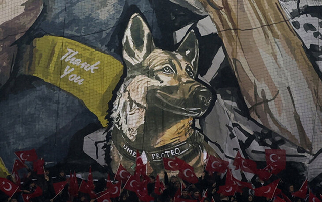 Məhz bu it fotosu, ona görə ki…