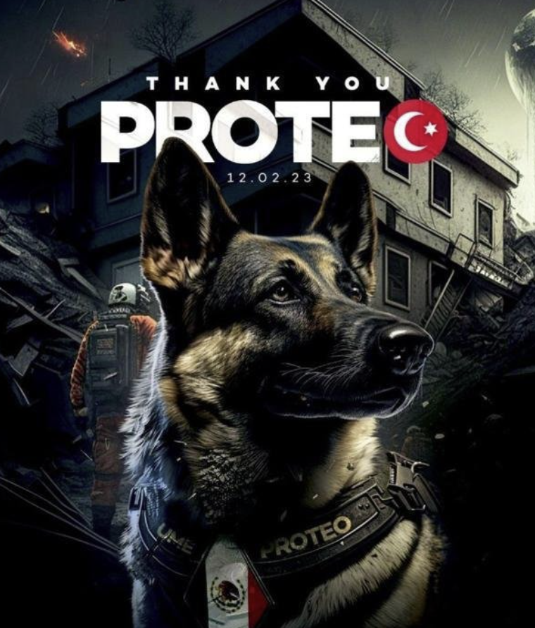 Türkiyədə məşhur itə heykəl ucaldılacaq - FOTOLAR