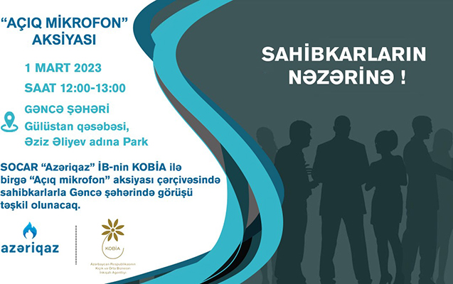 sahibkarlarla-novbeti-gorus-gencede-kecirilecek