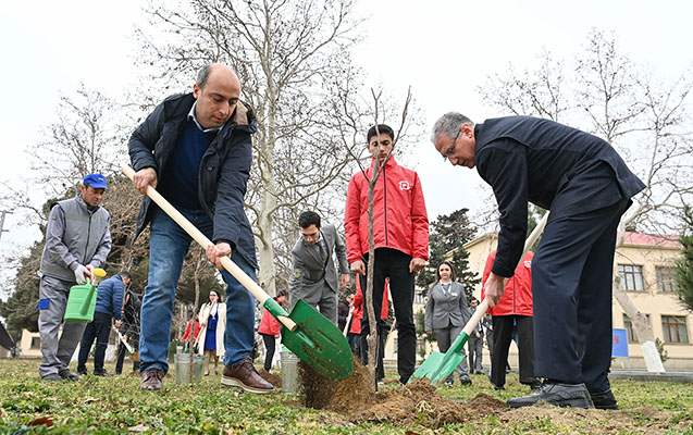 heyder-eliyev-100-adli-agacekme-kampaniyasina-start-verildi