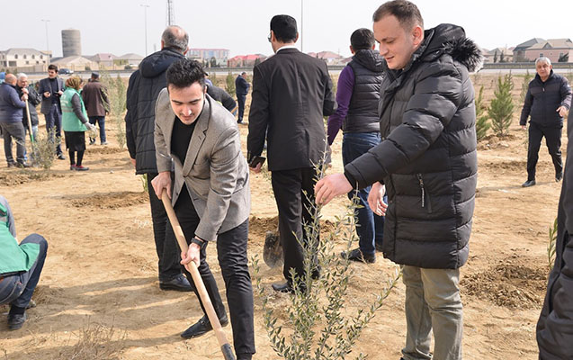 heyder-eliyevin-100-illiyine-hesr-olunmus-agacekme-aksiyasi-davam-edir