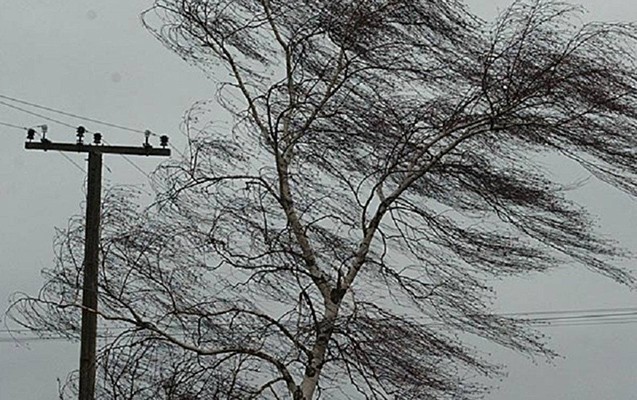 oguzda-guclu-kulek-fesadlar-yaratdi