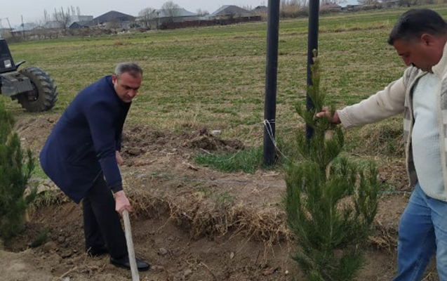 fuzulide-heyder-eliyevin-100-illiyi-munasibetile-agacekme-aksiyasi