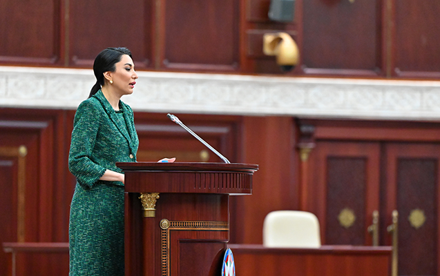 Ombudsman Ermənistanın növbəti təxribatı ilə bağlı çağırış etdi