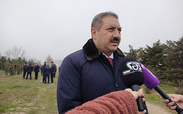 bir-agaci-ekib-boyutmek-bir-ovladi-boyutmeye-beraberdir