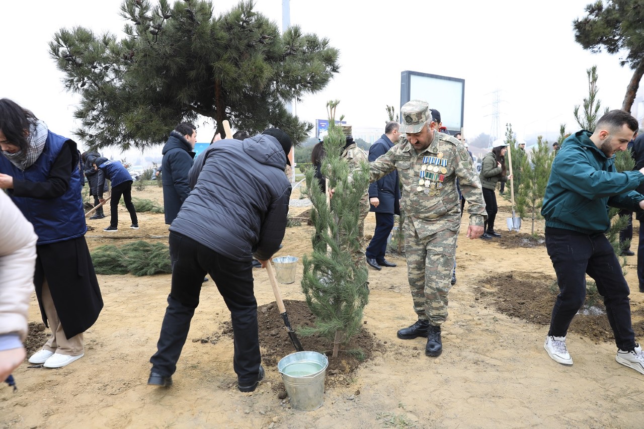 Nizami rayonunda “Heydər Əliyev İli” çərçivəsində ağacəkmə aksiyası keçirildi