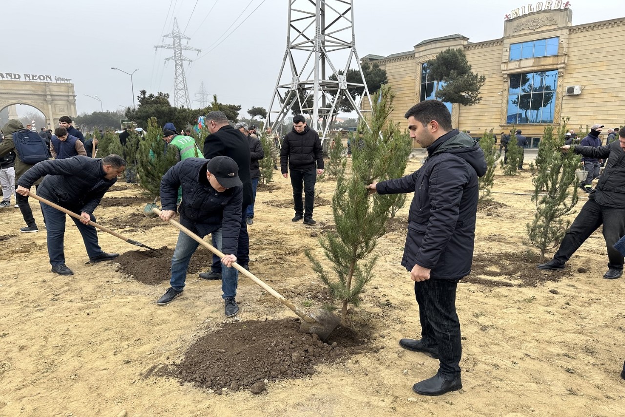 Nizami rayonunda “Heydər Əliyev İli” çərçivəsində ağacəkmə aksiyası keçirildi