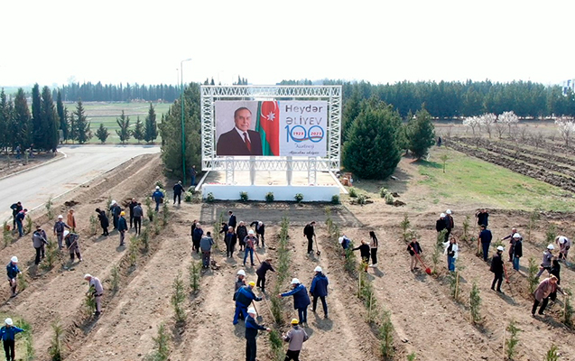 azerenerji-heyder-eliyevin-100-illiyi-ile-bagli-silsile-aksiya-kecirir