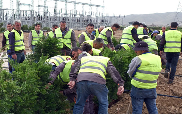 azerenerjiden-cebrayilla-bagli-maraqli-layihe