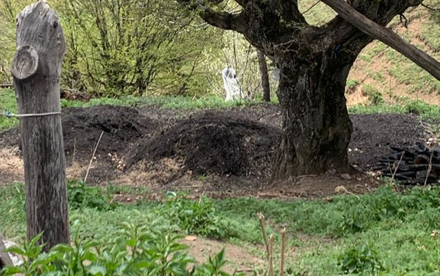 daha-3-komur-quyusu-legv-olundu