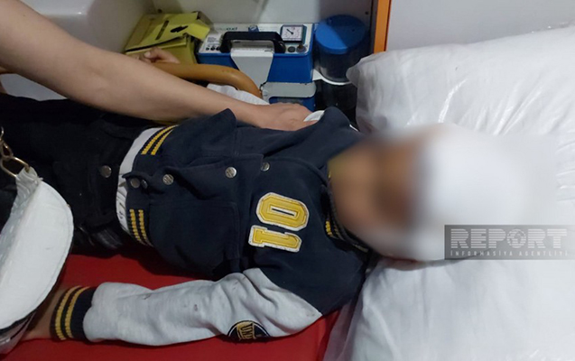 masazirda-itler-azyasli-usaqlara-hucum-etdi