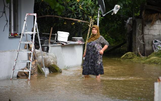 selden-zerer-goren-el