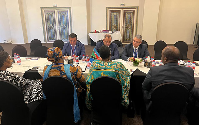 adil-eliyev-tanzaniya-parlamentinin-sedri-ile-gorusub