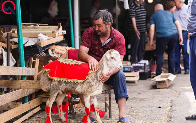 qurbanliga-secilenler