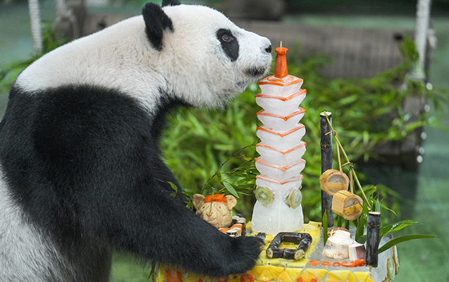 neheng-pandanin-10-yasi-bele-qeyd-olundu