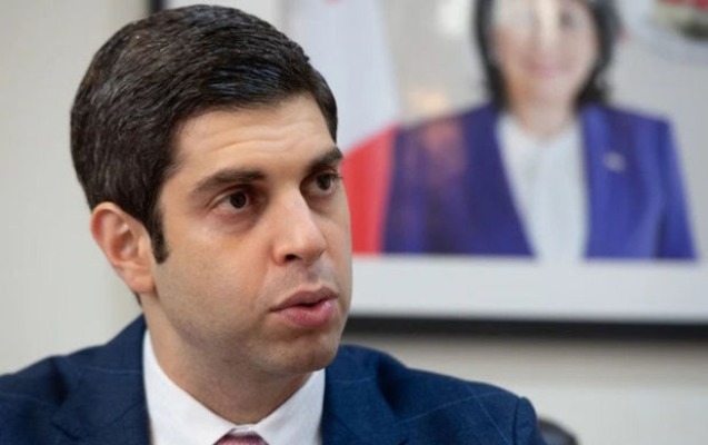 gurcustanin-yaponiyadaki-sefiri-hucuma-meruz-qaldi