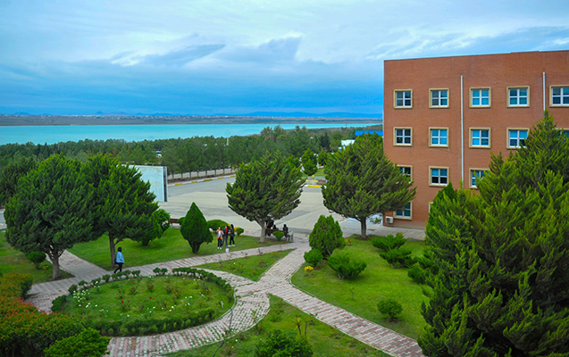 bmu-nun-magistratura-uzre-qebul-plani-997-dolub