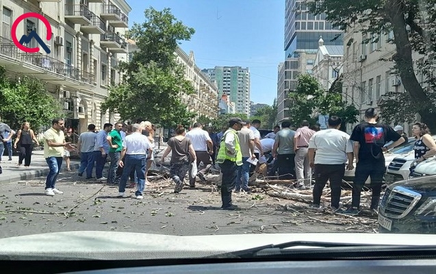 bakida-agac-yolun-ortasina-asdi-xesaret-alan-var