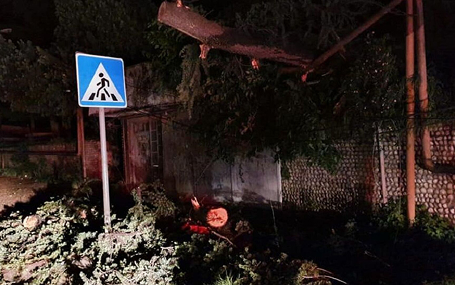 gurcustanin-bu-seherinde-de-tebii-felaket-bas-verdi