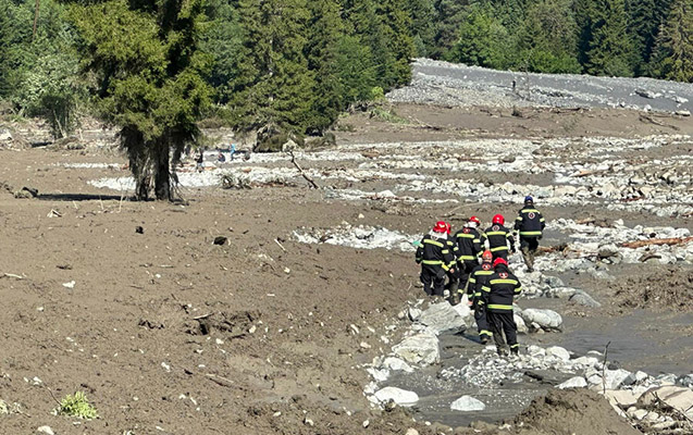 gurcustanda-surusme-zonasinda-olenlerin-sayi-artdi