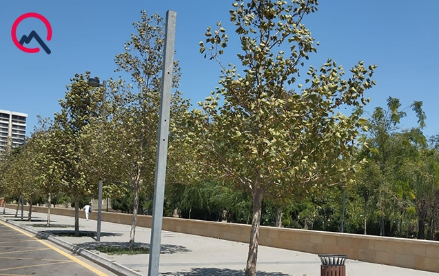 yol-nisani-yoxdur-amma-suruculer-cerime-edilir