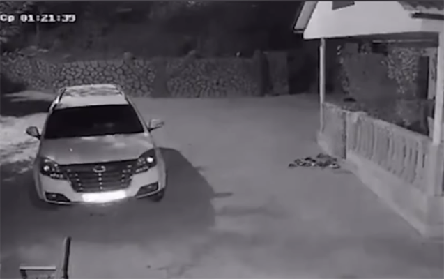 masalli-ve-yardimlida-zelzele-ani