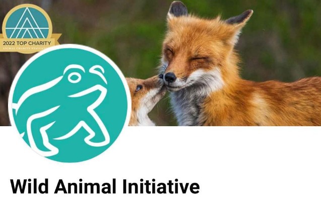 wild-animal-initiative-azerbaycanin-muracietine-reaksiya-verdi