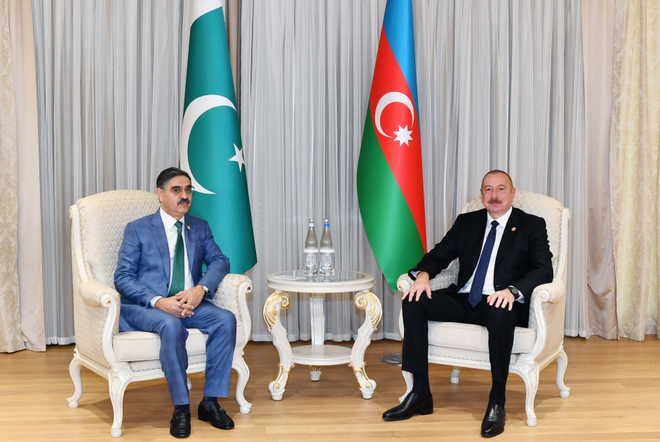 Prezident Pakistanın Keçid Hökumətinin Baş naziri ilə görüşdü - Foto