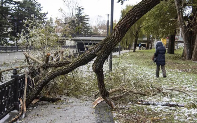 Krımda fırtına səbəbindən 9,3 min insan işıqsız qaldı