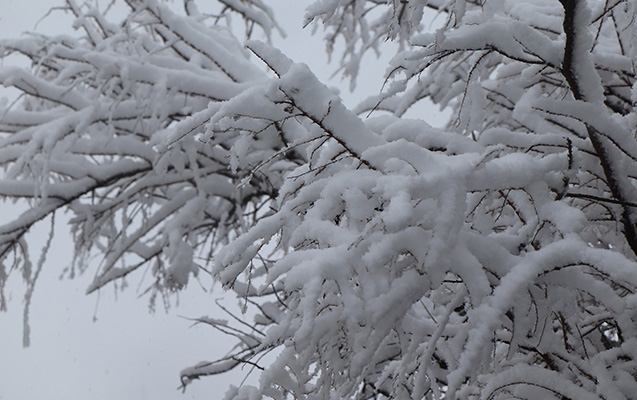 16-dereceyedek-saxta-var