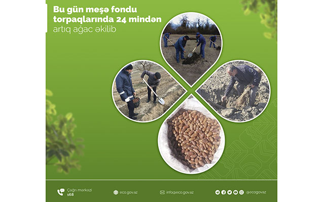bu-gun-mese-fondu-torpaqlarinda-24-minden-cox-agac-ekilib