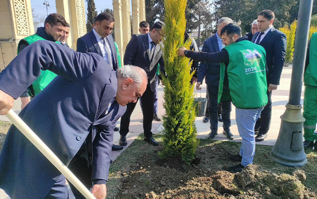 zerdabda-yasil-dunya-namine-hemreylik-ili-movzusunda-aksiya