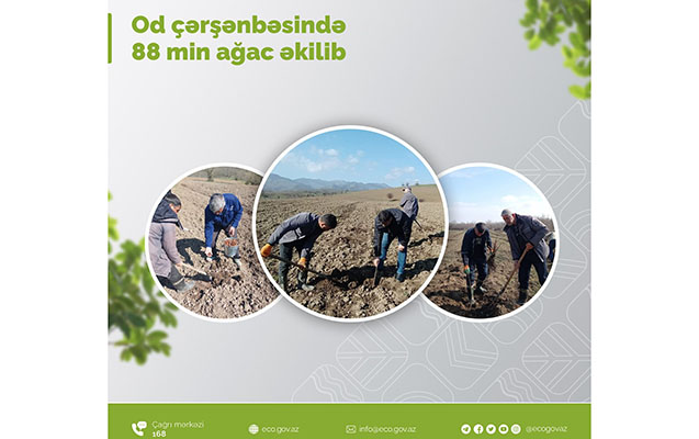 od-cersenbesinde-88-min-agac-ekildi