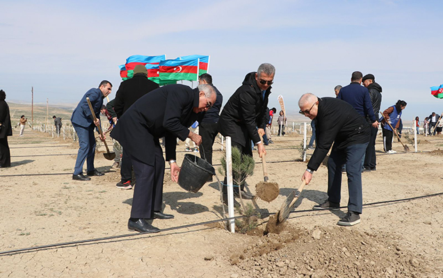 yasil-dunya-namine-hemreylik-ilinde-novbeti-agacekme-aksiyasi