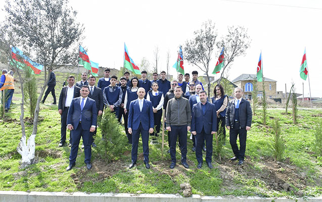 abseronda-agacekme-ve-temizlik-aksiyasi-kecirildi