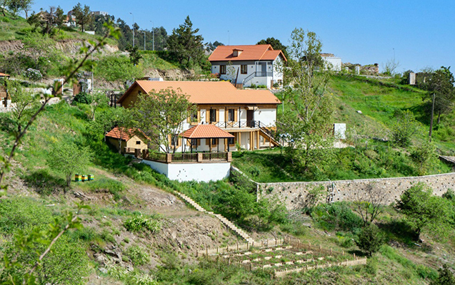 yaxin-gunlerde-lacina-koc-baslayir