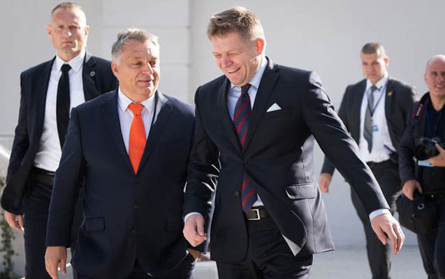 sagalsa-bele-seckioncesi-isleye-bilmeyecek
